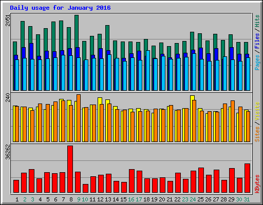 Daily usage for January 2016