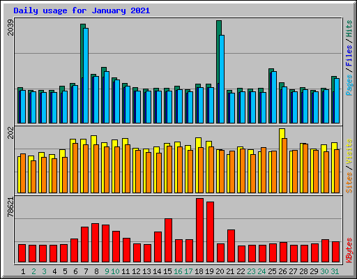 Daily usage for January 2021