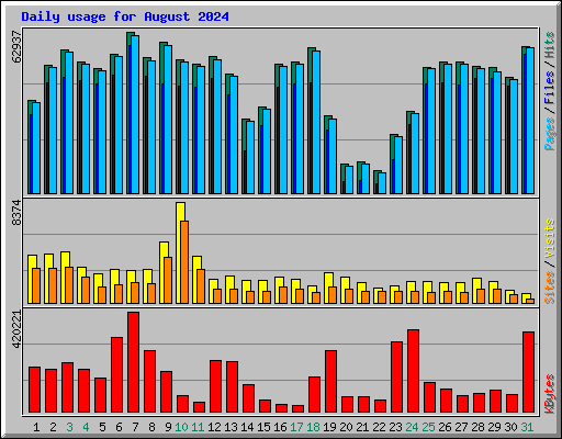 Daily usage for August 2024