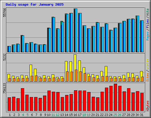 Daily usage for January 2025