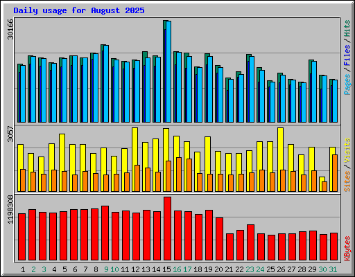 Daily usage for August 2025