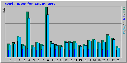 Hourly usage for January 2019