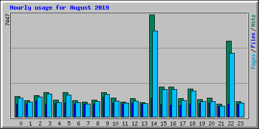 Hourly usage for August 2019