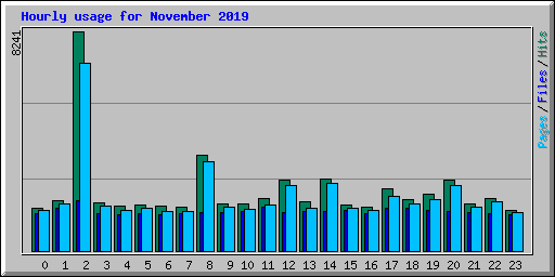 Hourly usage for November 2019
