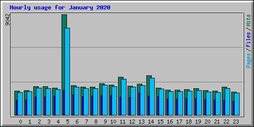 Hourly usage for January 2020