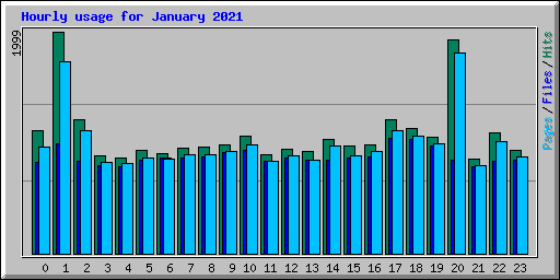 Hourly usage for January 2021