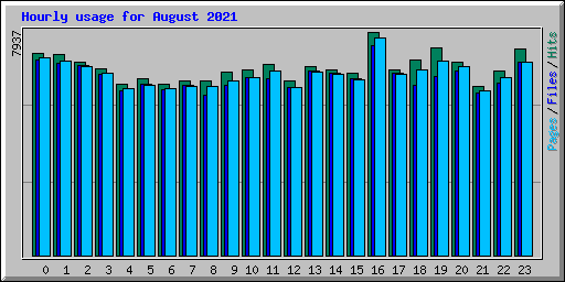 Hourly usage for August 2021