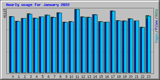 Hourly usage for January 2022