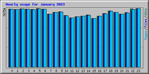 Hourly usage for January 2023