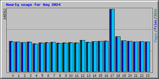 Hourly usage for May 2024