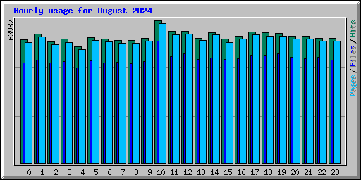 Hourly usage for August 2024