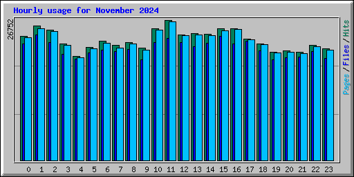 Hourly usage for November 2024