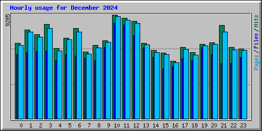 Hourly usage for December 2024