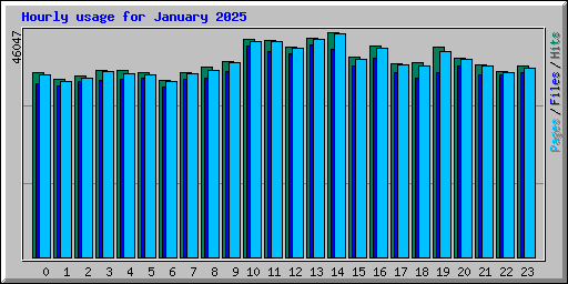 Hourly usage for January 2025