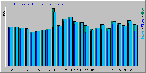 Hourly usage for February 2025