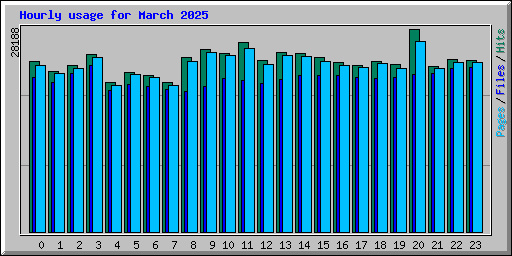 Hourly usage for March 2025