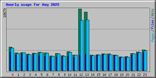 Hourly usage for May 2025