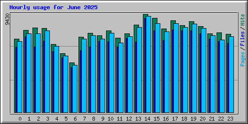 Hourly usage for June 2025