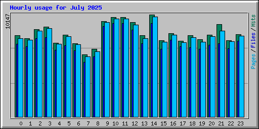 Hourly usage for July 2025