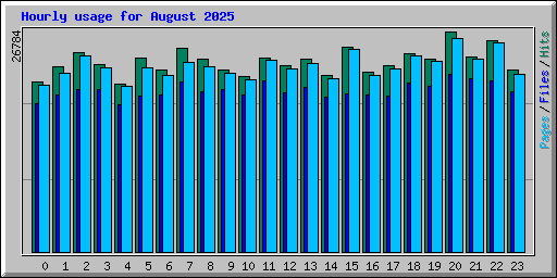 Hourly usage for August 2025