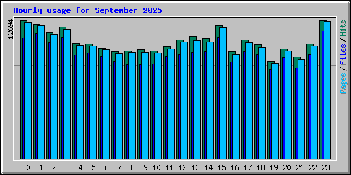 Hourly usage for September 2025
