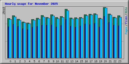 Hourly usage for November 2025