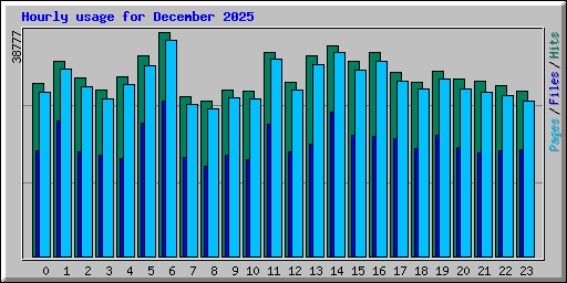 Hourly usage for December 2025