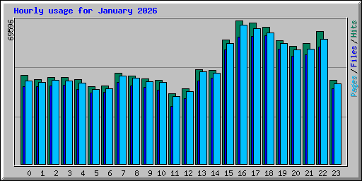 Hourly usage for January 2026