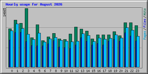 Hourly usage for August 2026